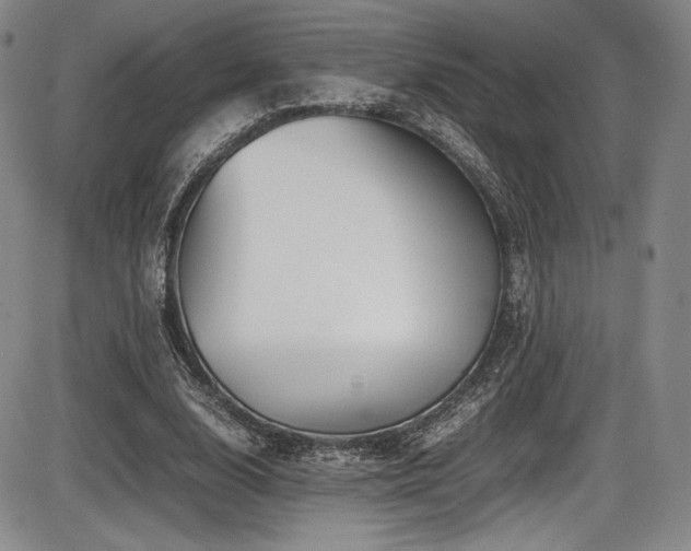 X0000086280632200703291502