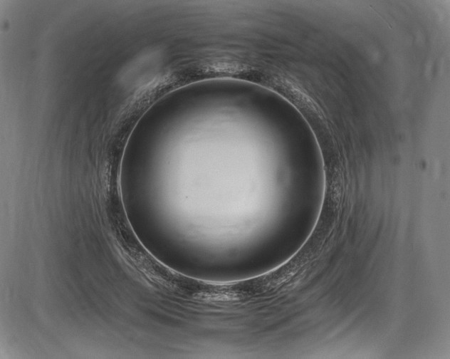 X0000086280639200703291502