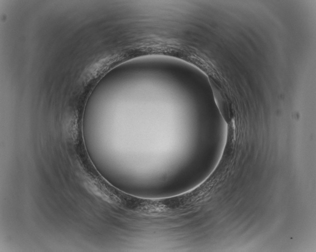 X0000086280642200703291502