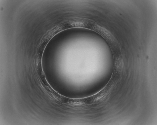 X0000086280645200703291502