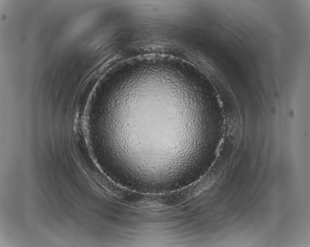 X0000086280648200703291502