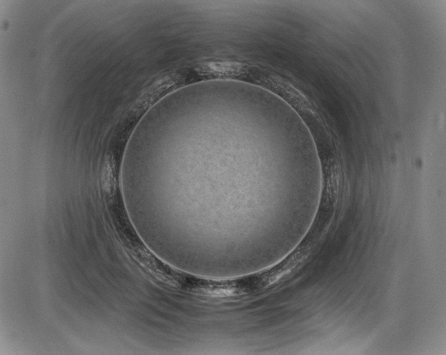 X0000086280651200703291502