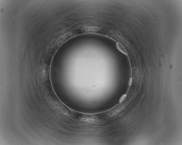 X0000086280655200703291502