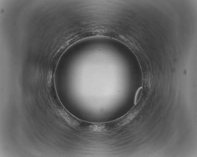 X0000086280660200703291502