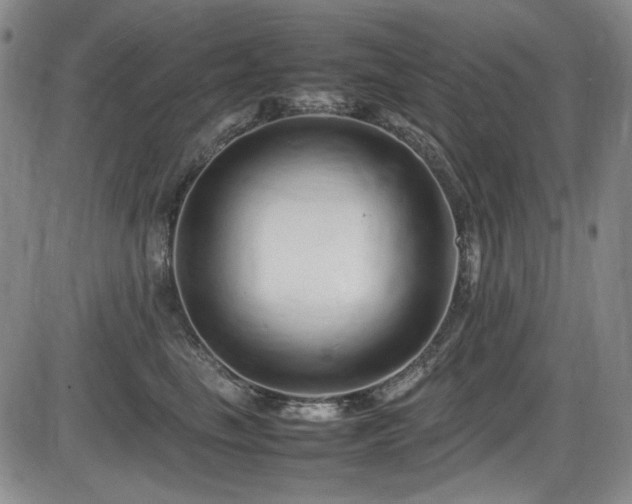 X0000086280665200703291502