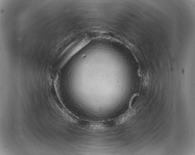 X0000086280666200703291502