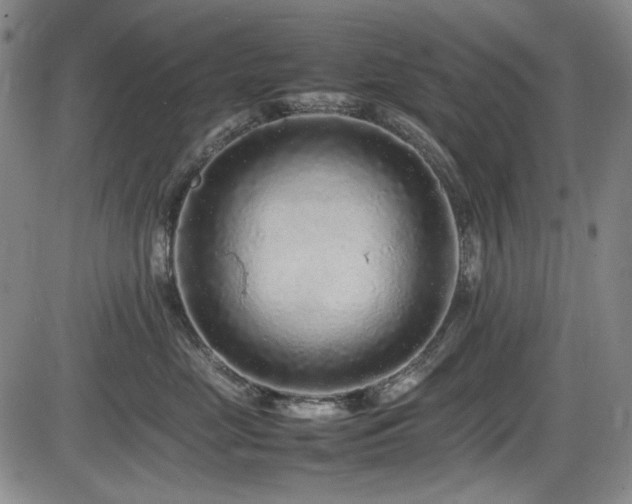 X0000086280669200703291503