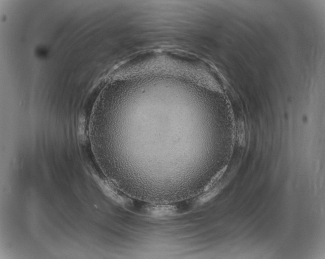 X0000086280670200703291503