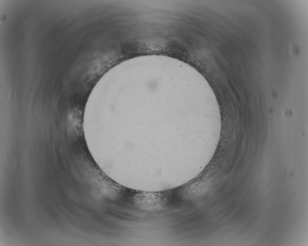 X0000086280672200703291503