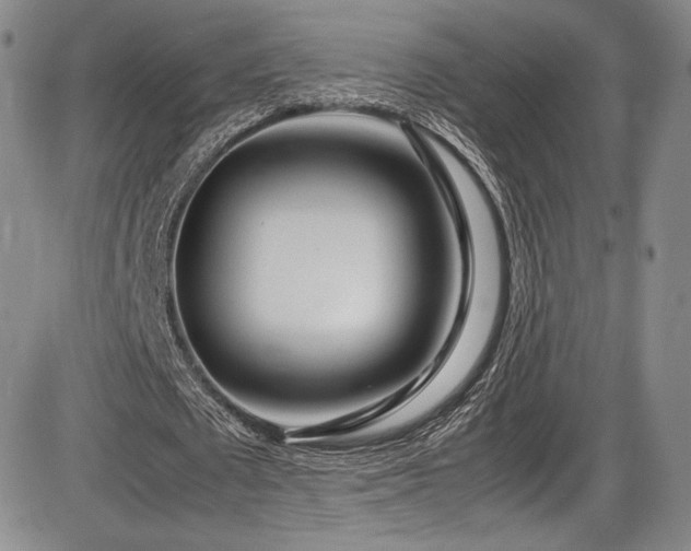X0000086280673200703291502