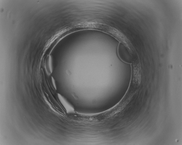 X0000086280674200703291502