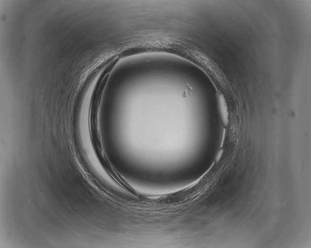 X0000086280677200703291502