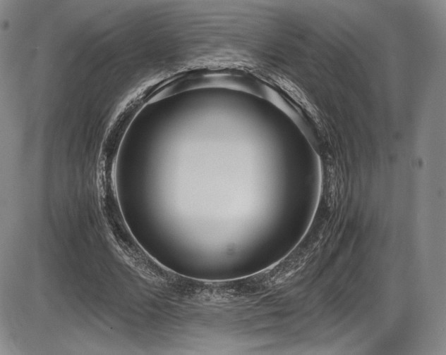 X0000086280680200703291502