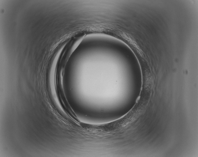 X0000086280681200703291502