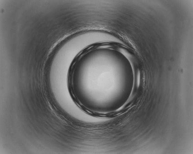 X0000086280684200703291502