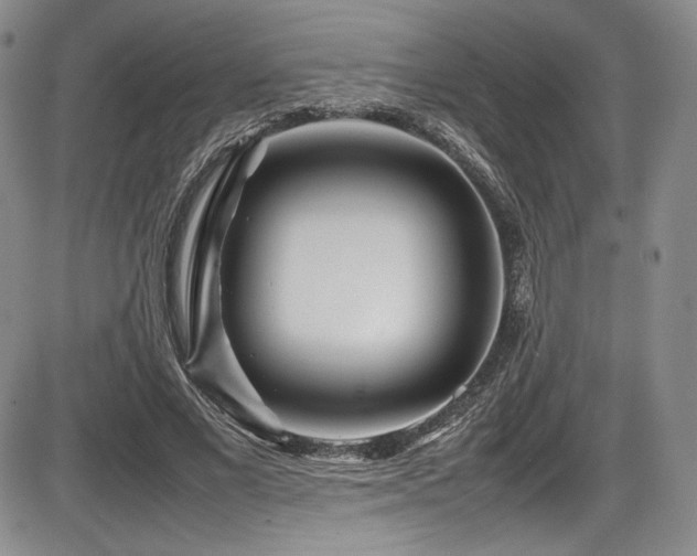 X0000086280685200703291502