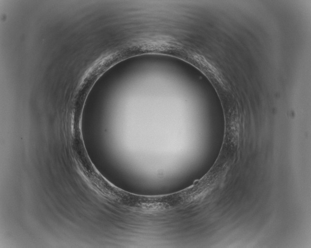 X0000086280686200703291502