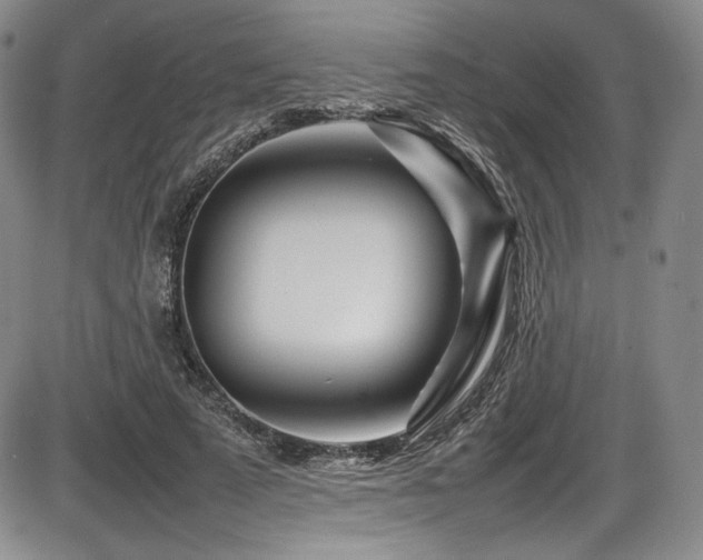 X0000086280689200703291501