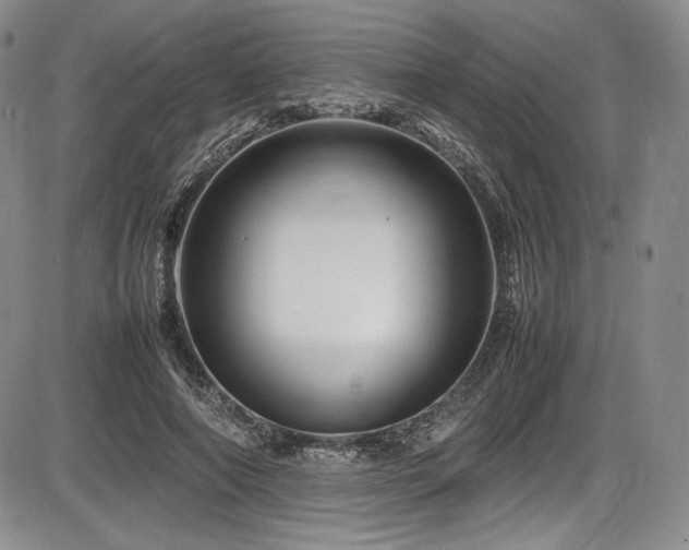 X0000086280690200703291501