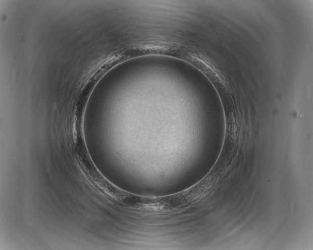 X0000086280692200703291501
