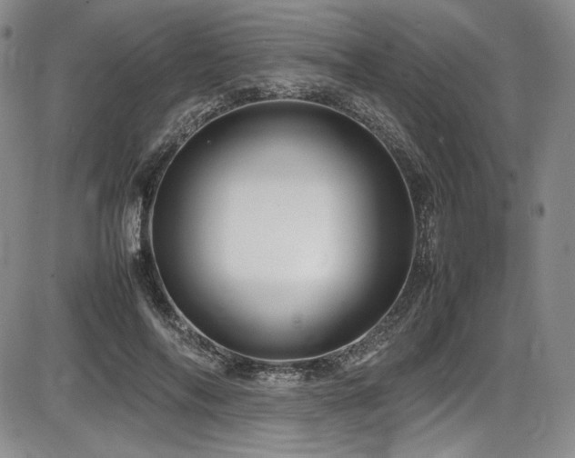 X0000086280694200703291501