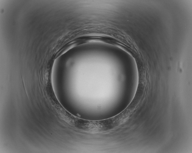 X0000086280697200703291501