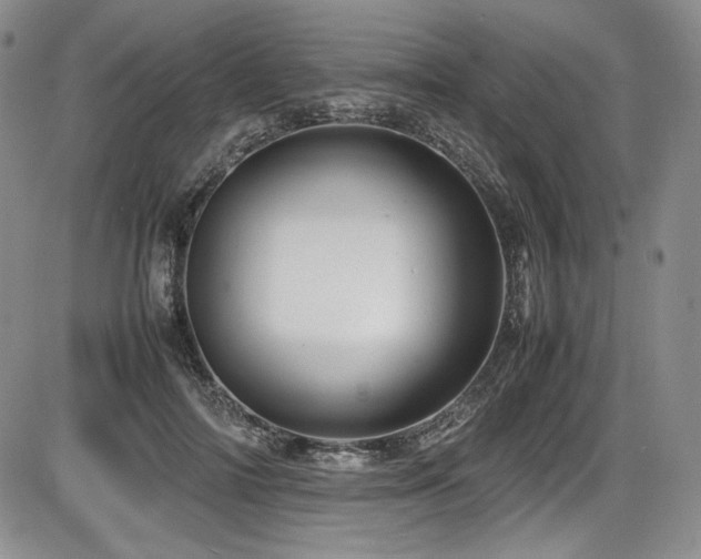 X0000086280698200703291501