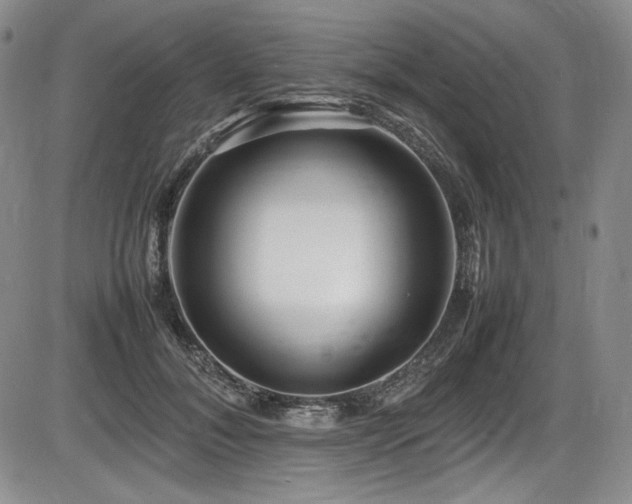 X0000086280700200703291501