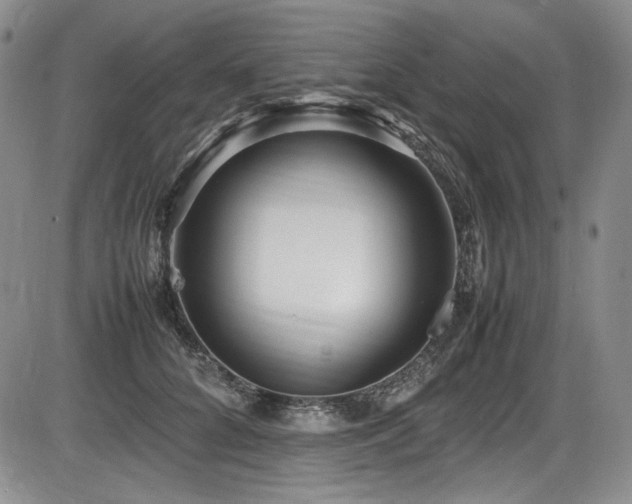 X0000086280704200703291501