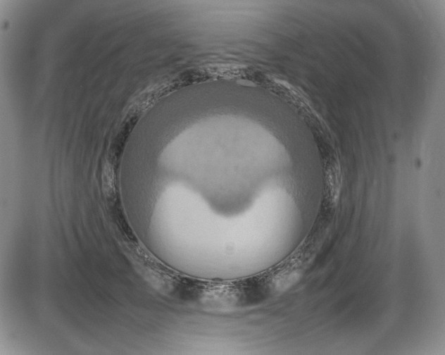 X0000086280705200703291501