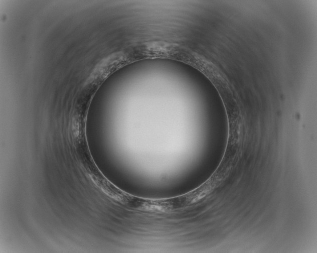 X0000086280706200703291501
