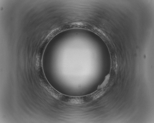 X0000086280708200703291501