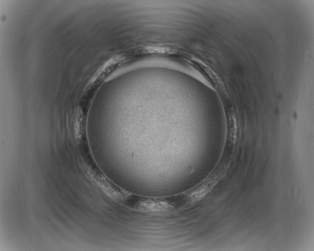 X0000086280712200703291501
