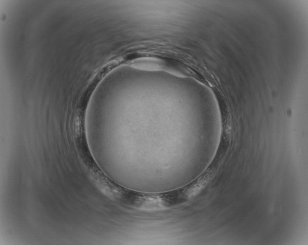 X0000086280715200703291501