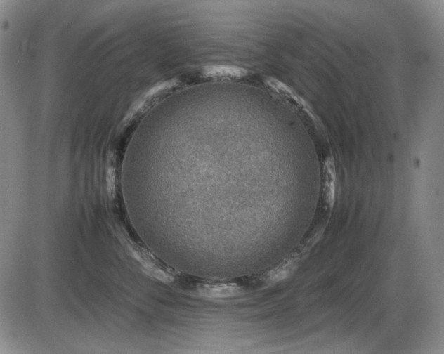 X0000086280716200703291501