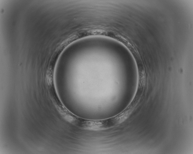 X0000086280719200703291501
