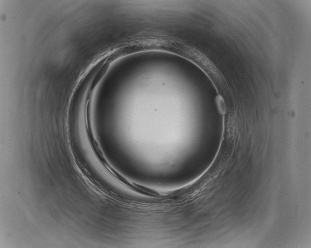 X0000086280722200703291500