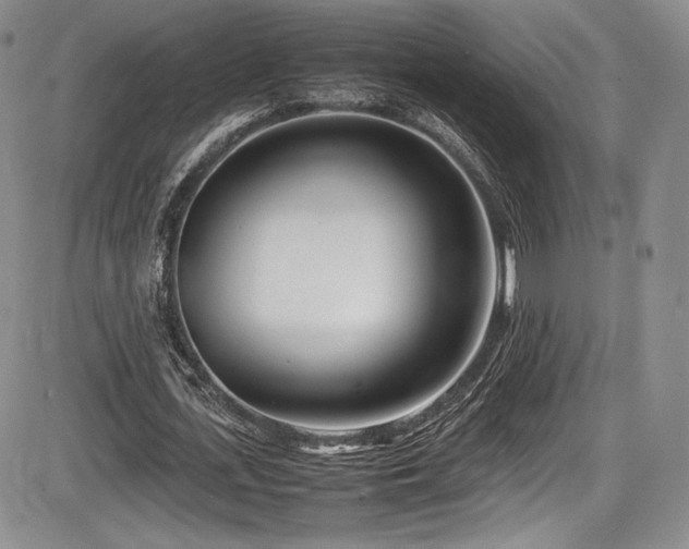 X0000086280723200703291500
