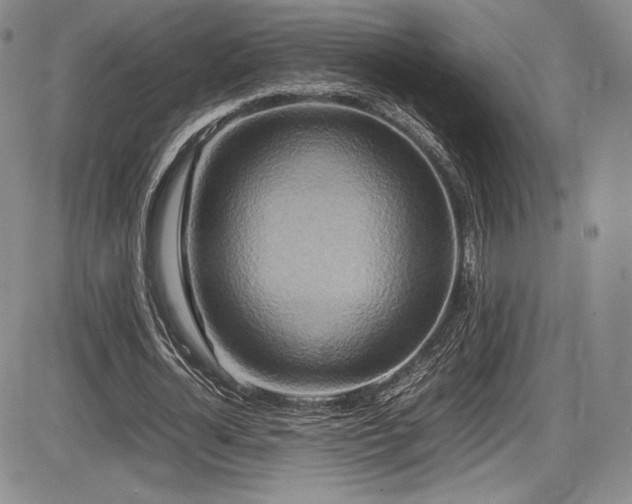 X0000086280724200703291500