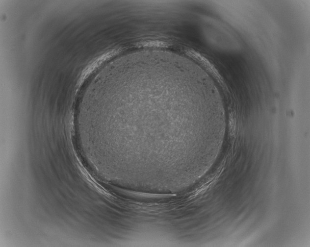 X0000086280725200703291500