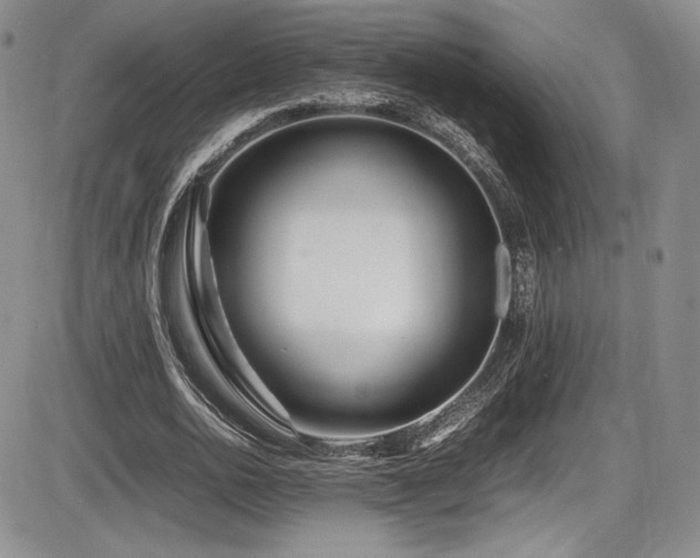 X0000086280726200703291500