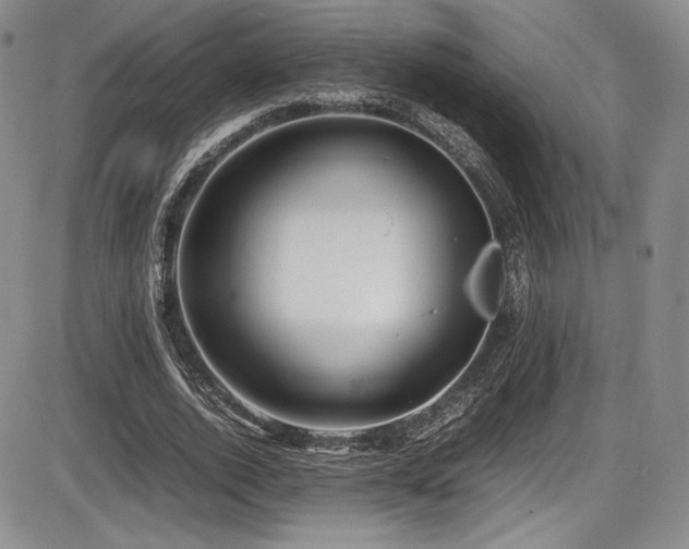 X0000086280728200703291500