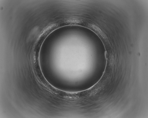 X0000086280731200703291500