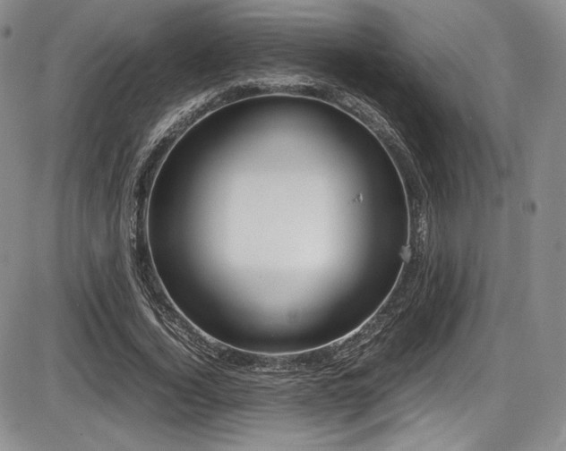 X0000086280732200703291500