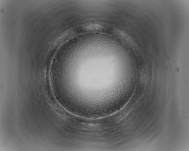 X0000086280737200703291500