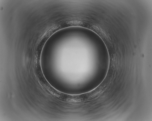 X0000086280739200703291500