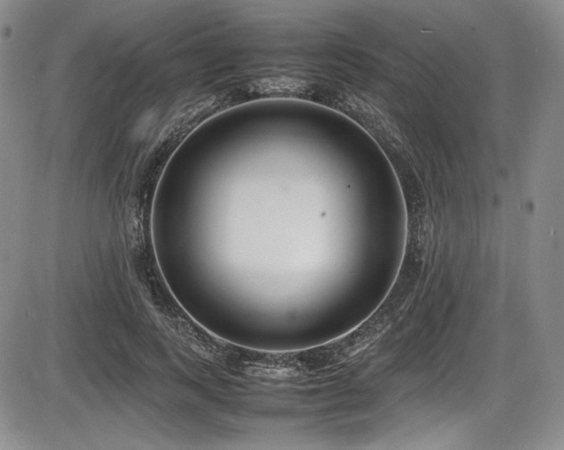 X0000086280743200703291501