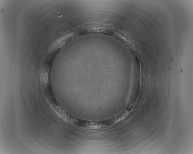 X0000086280746200703291501