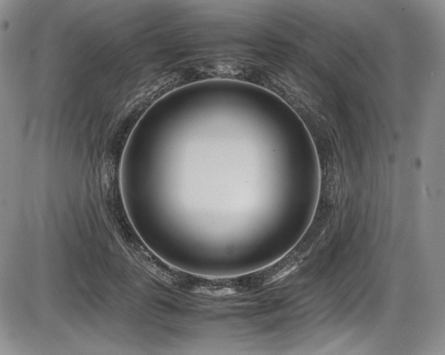 X0000086280747200703291501