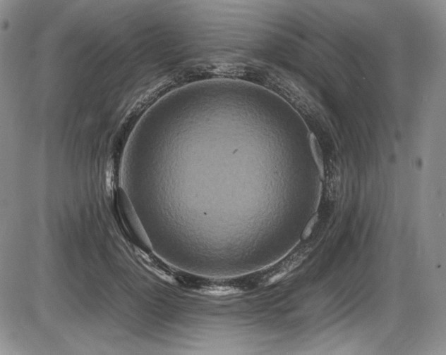 X0000086280748200703291501